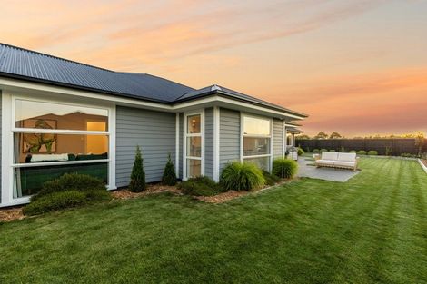 Photo of property in 38 Mcquillan Avenue, Woodend, 7610