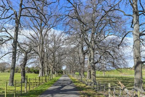 Photo of property in 543 Raukawa Road, Raukawa, 4174