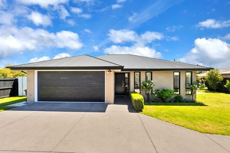 Photo of property in 20 Larne Place, Belfast, Christchurch, 8051