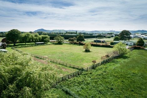 Photo of property in 301 Peake Road, Pukemoremore, Cambridge, 3493