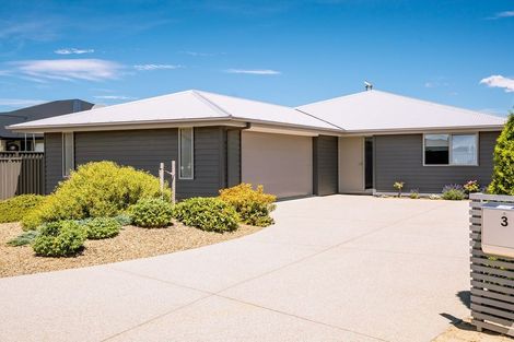 Photo of property in 3 Magnetic Place, Cromwell, 9310