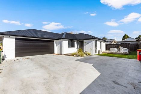 Photo of property in 52a Clarkin Road, Fairfield, Hamilton, 3214