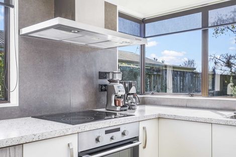 Photo of property in 62 Endeavour Avenue, Flagstaff, Hamilton, 3210