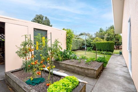 Photo of property in 116 West Street, Greytown, 5712