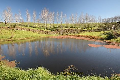 Photo of property in 186 Metcalfe Road, Ranui, Auckland, 0612