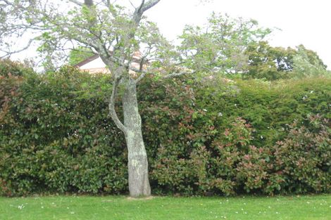 Photo of property in 121 Sinclair Terrace, Te Awamutu, 3800