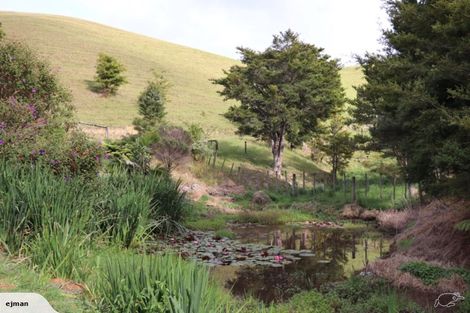 Photo of property in 356 Hailes Road, Whananaki, Hikurangi, 0181