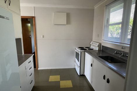 Photo of property in 117 Victoria Avenue, Hokowhitu, Palmerston North, 4410