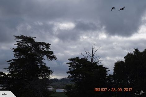 Photo of property in 166 Top Road, Dairy Flat, 0792