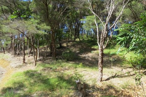 Photo of property in 395a Driving Creek Road, Coromandel, 3506