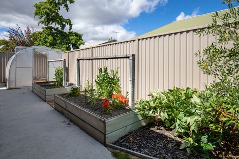 Photo of property in 24a Bantry Street, Alexandra, 9320