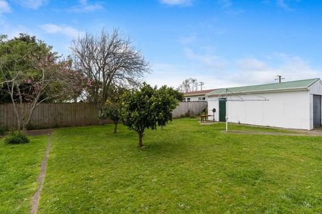 Photo of property in 21 Cornwall Street, Levin, 5510
