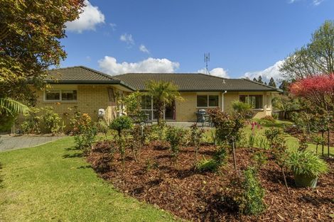 Photo of property in 6 Rothesay Lane, Bethlehem, Tauranga, 3110