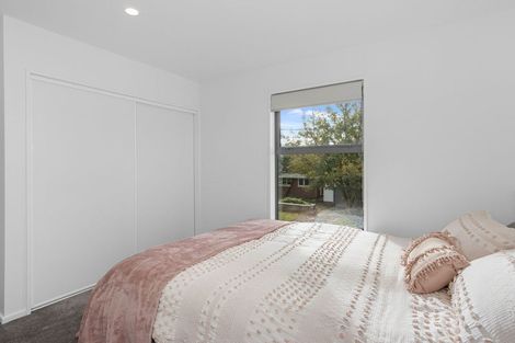 Photo of property in 30 Ruskin Street, Addington, Christchurch, 8024