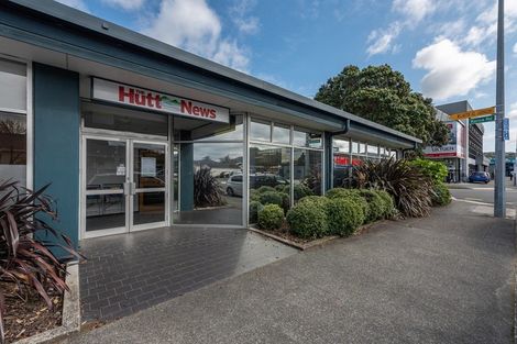 Photo of property in 22 Raroa Road, Kelburn, Wellington, 6012