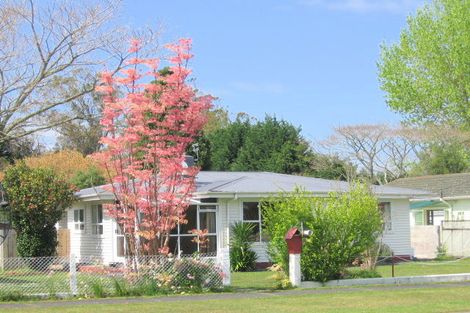Photo of property in 25 Page Street, Morrinsville, 3300