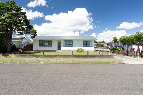 Photo of property in 33 Solway Street, Levin, 5510