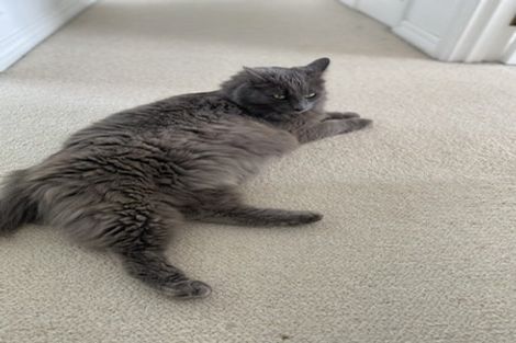 Photo of property in 16f Wither Road, Witherlea, Blenheim, 7201