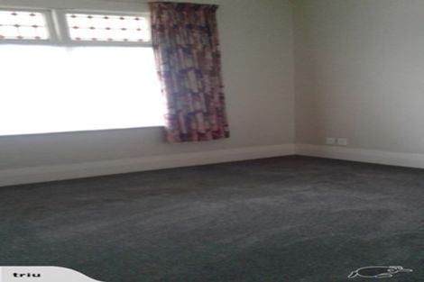 Photo of property in 1 Nile Street, Saint Clair, Dunedin, 9012