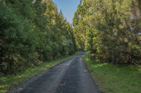 Photo of property in 1878 The 309 Road, Kaimarama, Whitianga, 3591