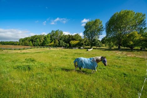 Photo of property in 21 Tukairangi Road, Wairakei, Taupo, 3385