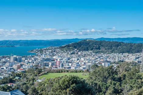 Photo of property in 78 Mortimer Terrace, Brooklyn, Wellington, 6021