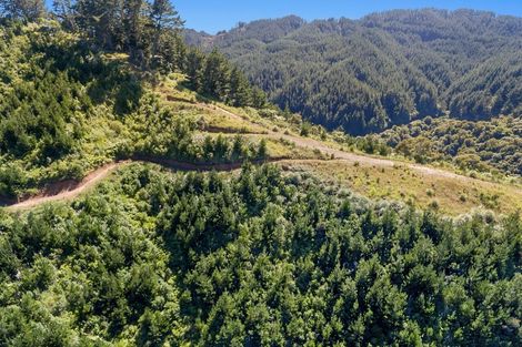 Photo of property in 1588 Stanley Road, Waimana, 3198