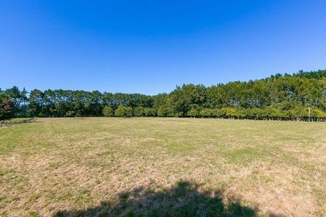 Photo of property in 276 Tikorangi Road, Tikorangi, Waitara, 4383