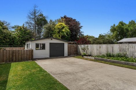 Photo of property in 36 Tawa Street, Edgecumbe, 3120