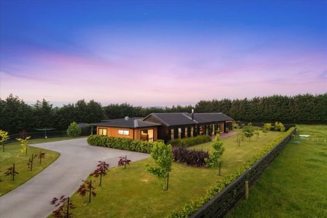 Photo of property in 38 Shaw Road, Te Ranga, Te Puke, 3182