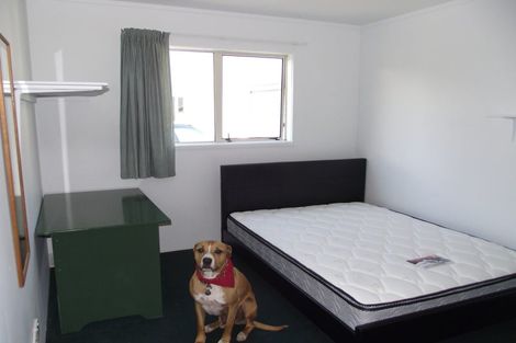 Photo of property in 91 Brockworth Place, Riccarton, Christchurch, 8011