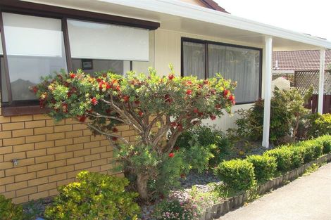 Photo of property in 2/478 Devonport Road, Tauranga South, Tauranga, 3112