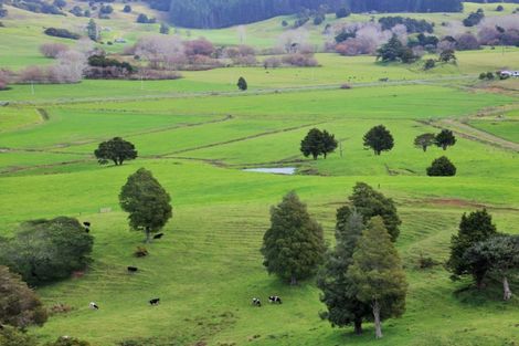 Photo of property in 1008 Tangowahine Valley Road, Tangowahine, Dargaville, 0372