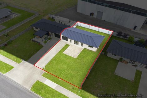 Photo of property in 97 Hinemoa Street, Levin, 5510