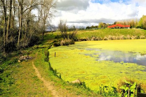 Photo of property in 70 Te Whanga Road, Levin, 5572