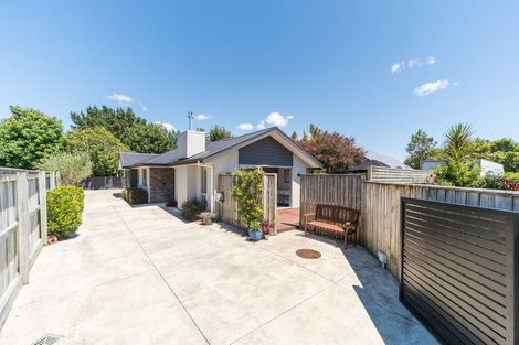 Photo of property in 33a Windsor Street, Terrace End, Palmerston North, 4410