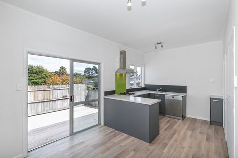 Photo of property in 19 Rata Street, Maeroa, Hamilton, 3200