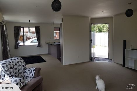 Photo of property in 4 Gascoigne Street, Riversdale, Blenheim, 7201