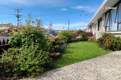 Photo of property in 8a Market Street, Saint Kilda, Dunedin, 9012