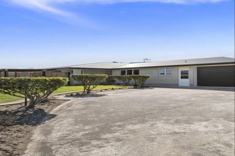 Photo of property in 12 Malthus Place, Foxton Beach, Foxton, 4815