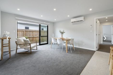 Photo of property in 17c Brightwater Terrace, Terrace End, Palmerston North, 4410