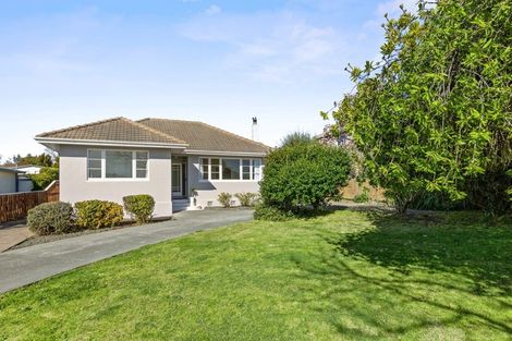 Photo of property in 12 Mchardy Street, Havelock North, 4130