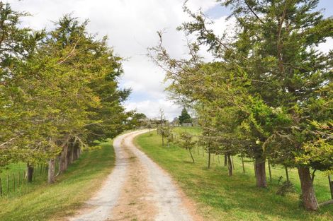 Photo of property in 19 Davie Martin Road, Kaipara Flats, Warkworth, 0981