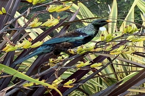 Photo of property in 23 Springs Junction, Springs Junction, Reefton, 7895