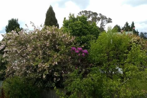 Photo of property in 15 Black Road, Paengaroa, Te Puke, 3189