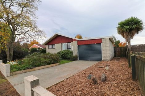 Photo of property in 17 Flatman Crescent, Geraldine, 7930
