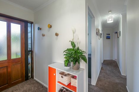Photo of property in 3 Beverley Place, Waverley, Dunedin, 9013