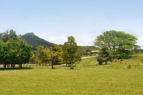 Photo of property in 19 Davie Martin Road, Kaipara Flats, Warkworth, 0981