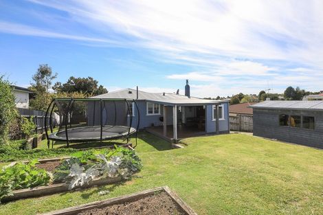 Photo of property in 1251 Rewi Street, Te Awamutu, 3800