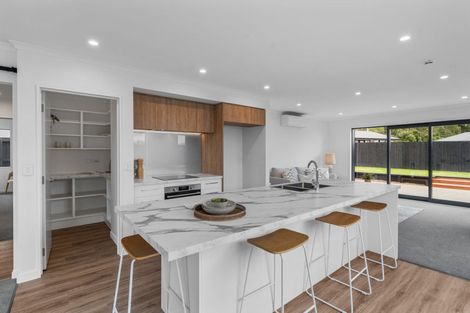 Photo of property in 56 Fairmaid Street, Lincoln, 7608